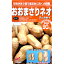 【新種】おおまさりネオ 1リットル 約350粒 落花生 種 渡辺農事 家庭菜園 オオマサリネオ らっかせい