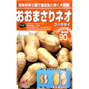 キャベツ 種 【 彩里 】 種子 L5千粒 （ 種 野菜 野菜種子 野菜種 ）