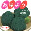 おはよう ブロッコリー コート 320粒 種 プロ向け 家庭菜園 サカタ種苗 1,980円