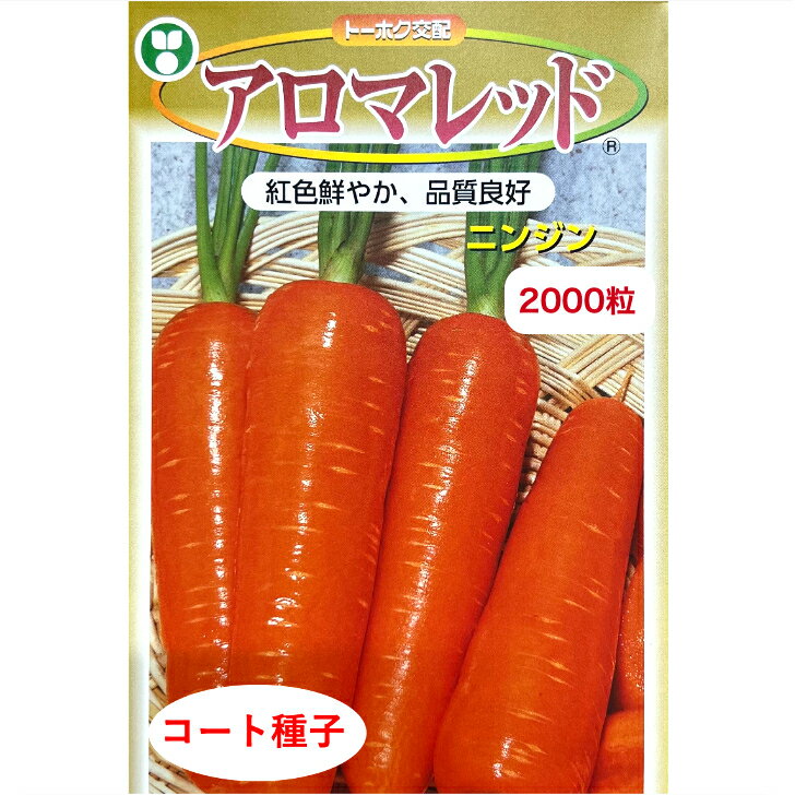 ニンジン 種 アロマレッド 【コート 約2000粒】 トーホク 種 野菜 プロ向け 農家 セレクト にんじん 人参 ペレット 種 苗 野菜 タネ プロ向け 家庭...