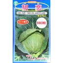 初恋 キャベツ コート 980粒 種 プロ向け 家庭菜園 トーホク交配