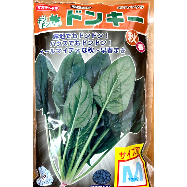 ホウレンソウ ドンキー M3万粒 サカタのタネ 種 野菜 プロ向け 家庭菜園 農家 セレクト 法蓮草 ほうれんそう ほうれん草