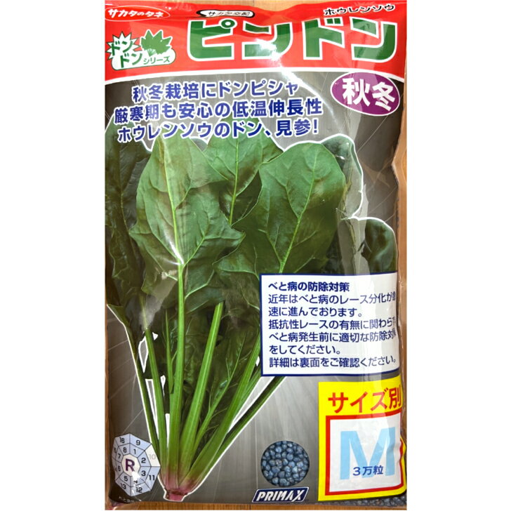 ホウレンソウ ピンドン M3万粒 サカタのタネ 種 野菜 プロ向け 家庭菜園 農家 セレクト 法蓮草 ほうれんそう ほうれん草