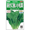 小松菜 コマツナ 種 きよすみ サカタ の タネ 家庭菜園 プロ向け 大袋 小袋 農家 セレクト