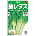 レタス 種 ケルン サカタ の タネ 家庭菜園 プロ向け 大袋 小袋 農家 セレクト