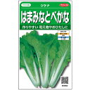 ツケナ 種 はまみなと サカタ の タネ 家庭菜園 プロ向け 大袋 小袋 農家 セレクト