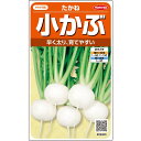 カブ 種 蕪 たかね サカタ の タネ 家庭菜園 プロ向け 大袋 小袋 農家 セレクト かぶ