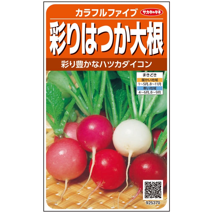 ハツカダイコン 種 カラフルファイブ 実咲 小袋 2dl 大袋 営利用 サカタ の タネ 野菜 プロ向け 家庭菜園 農家 セレクト たね