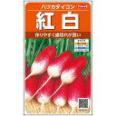 二十日大根 種 紅白 サカタ の タネ 家庭菜園 プロ向け 大袋 小袋 農家 セレクト ダイコン