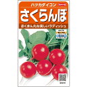 ハツカダイコン 種 さくらんぼ 実咲 小袋 2dl 大袋 営利用 サカタ の タネ 野菜 プロ向け 家庭菜園 農家 セレクト たね