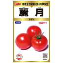 トマト 種 麗月 大玉 1000粒 PRIMAX 大袋 営利用 王様トマト サカタ の タネ 野菜 プロ向け 家庭菜園 農家 セレクト たね