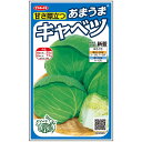 キャベツ 種 新藍 寒玉 実咲 小袋 2000粒 5000粒 大袋 営利用 サカタ の タネ 野菜 プロ向け 家庭菜園 農家 セレクト たね