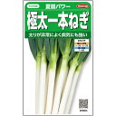 ネギ 種 夏扇パワー 一本ネギ ペレット6000粒 大袋 営利用 サカタ の タネ 長ネギ 野菜 プロ向け 家庭菜園 農家 セレクト たね