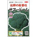 ブロッコリー 種 サマードーム 実咲 小袋 2000粒 5000粒 大袋 営利用 サカタ の タネ 野菜 プロ向け 家庭菜園 農家 セレクト たね