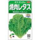 焼肉 レタス 種 チマサンチュ レタス 実咲 小袋 20ml 5000粒 1dl 大袋 営利用 サカタ の タネ 野菜 プロ向け 家庭菜園 農家 セレクト たね