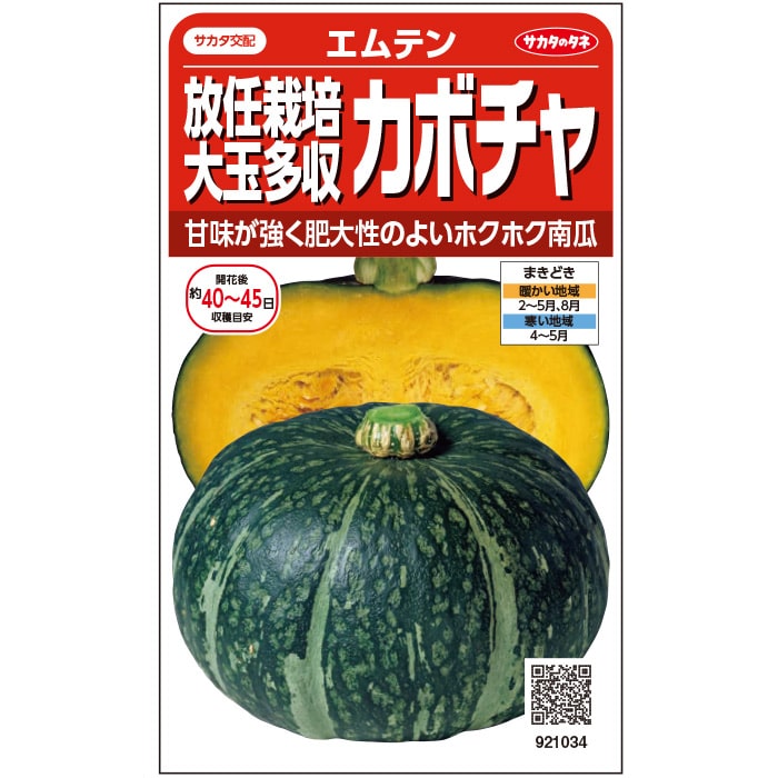 カボチャ 種 エムテン サカタのタネ 家庭菜園 野菜の種 菜園 畑 プランター栽培 ベランダ菜園 初心者 園芸初心者 簡単栽培 野菜作り 自家栽培 自給自足 露地栽培 ハウス栽培 地植え 鉢植え 家庭用 園芸用 無農薬栽培 有機栽培 オーガニック プロ向け