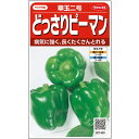 ピーマン 種 翠玉二号 20ml 実咲 小袋 大袋 営利用 サカタ の タネ 野菜 プロ向け 家庭菜園 農家 セレクト たね