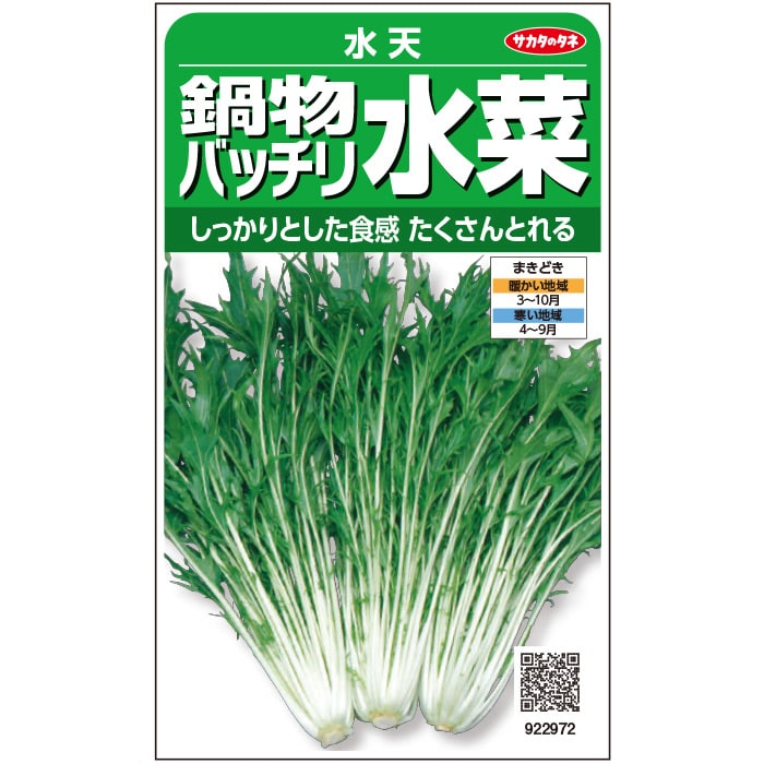 Rakuten - ミズナ 水菜 種 水天 実咲 小袋 2dl 大袋 営利用 サカタ の タネ みずな 野菜 プロ向け 家庭菜園 農家 セレクト たね