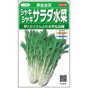 ミズナ 種 早生水天 水菜 みずな 実咲 小袋 20ml 2dl 大袋 営利用 サカタ の タネ 野菜 プロ向け 家庭菜園 農家 セレクト たね