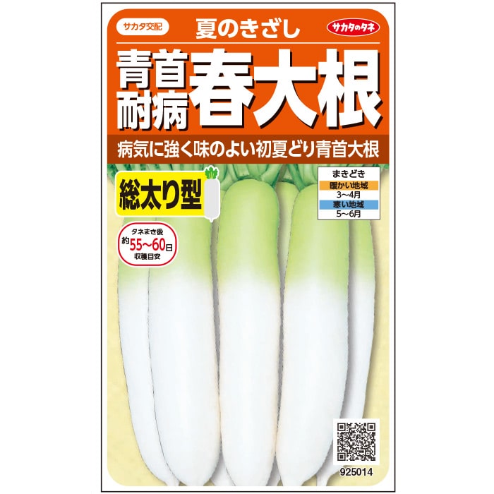 Rakuten - ダイコン 種 夏のきざし 実咲 小袋 20ml 2dl 5000粒 大袋 営利用 サカタ の タネ 野菜 プロ向け 家庭菜園 農家 セレクト たね 春まき 春まきダイコン そろいがよい 根長約37cm 発芽地温25℃ 株間25cm タネまき後55~60日 初心者にもおすすめ 作りやすい 育てやすい