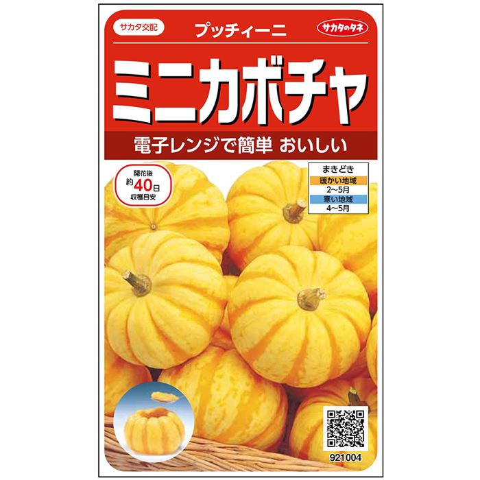 ミニ カボチャ 種 プッチィーニ 実咲 小袋 100粒 大袋 営利用 かぼちゃ サカタ の タネ 野菜 プロ向け 家庭菜園 農家 セレクト たね