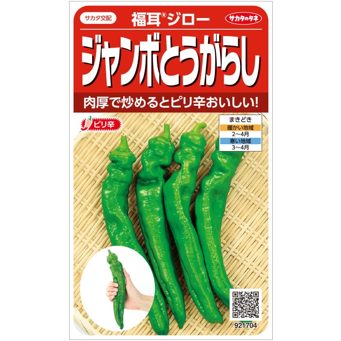 ジャンボ トウガラシ 種 福耳ジロー 実咲 小袋 500粒 大袋 営利用サカタ の タネ 野菜 プロ向け 家庭菜園 農家 セレクト たね