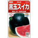 大玉 スイカ 種 タヒチ 黒皮 実咲 小袋 200粒 大袋 営利用 サカタ の タネ 野菜 プロ向け 家庭菜園 農家 セレクト たね