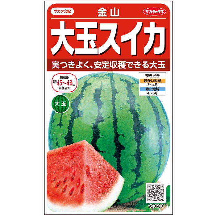 大玉 スイカ 種 金山 実咲 小袋 大袋 営利用 200粒 サカタ の タネ 野菜 プロ向け 家庭菜園 農家 セレクト たね