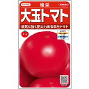 大玉 トマト 種 瑞栄 実咲 小袋 20ml 大袋 営利用 サカタ の タネ 野菜 プロ向け 家庭菜園 農家 セレクト たね