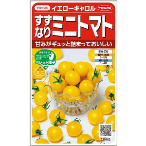 ミニトマト 種 イエローキャロル 実咲 小袋 40粒 大袋 営利用 サカタ の タネ 野菜 プロ向け 家庭菜園 農家 セレクト たね