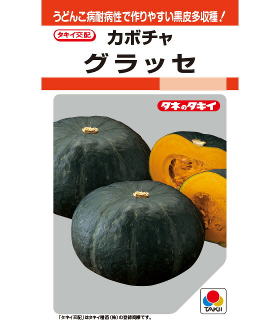 カボチャ グラッセ 種　9粒 100粒 500粒 大袋 営利用 タキイ 種苗 タネ 野菜 プロ向け 家庭菜園 農家 セレクト たね