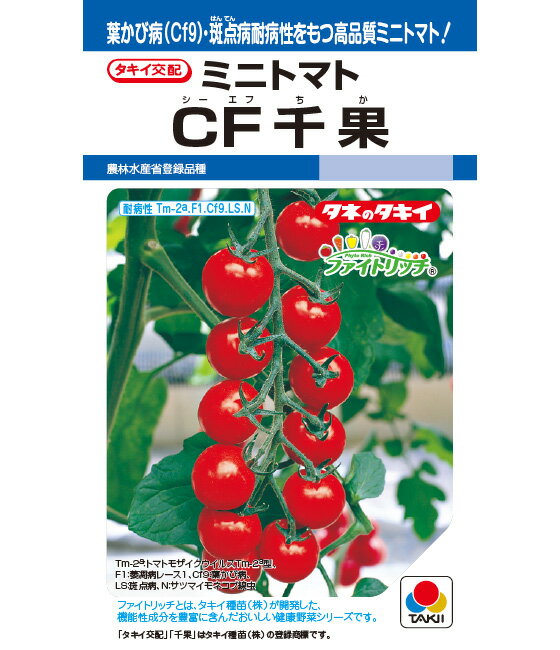 コート種子 晩緑95 L5(5000粒) ブロッコリー【野崎採種場 種 たね タネ 】【通常5倍 5のつく日はポイント10倍】