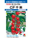 食用ナバナ　サカタ交配　花飾り　サカタのタネの食用ハナナ品種です。種2dl規格