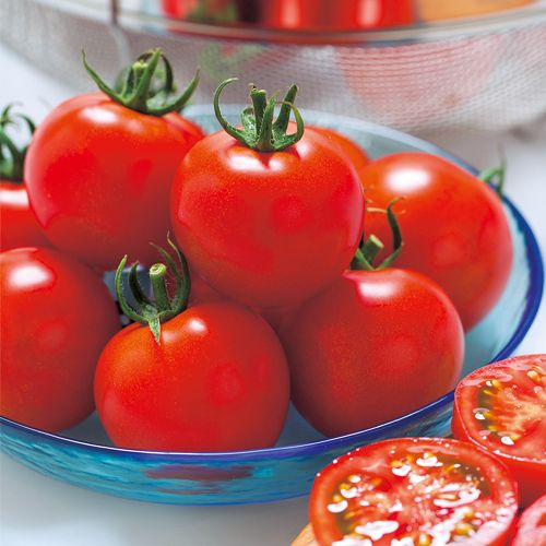 トマト 種 中玉 フルティカ 【100粒】 大袋 営利用 タキイ 苗 野菜 タネ プロ向け 家庭菜園 農家 セレクト たね トマト の 種 トマトの種 甘い 品種 野菜種 送料無料 菜園 家庭菜園トマト 自然栽培野菜 畑 畑仕事 中 玉 種まき 種子 ワイン お酒のおつまみ イタリアン ピザ