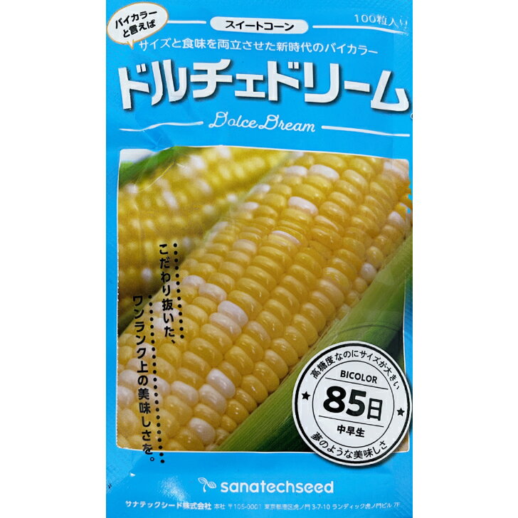 種生姜 熊本県産 無農薬生姜 1kg 送料無料 国産 生姜 しょうが ショウガ 生姜栽培 しょうが栽培 家庭菜園　種子 種用 たねしょうが 種しょうが 種生姜 たね生姜 生姜種 生姜の種 栽培 種芋 根生姜