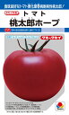 トマト 桃太郎ホープ 1000粒 大袋 営利用 タキイ 種 苗 野菜 タネ プロ向け 家庭菜園 農家 セレクト たね