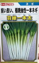 ネギ 羽緑一本太 コート5000粒 トーホク種苗 営利用 プロ向け 大袋