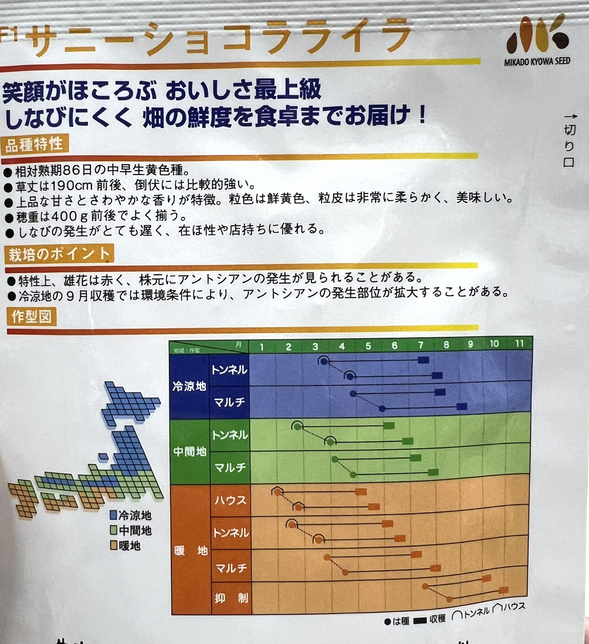 スイートコーン 種 サニーショコラライラ 【2000粒】 ウ゛ィルモランみかど 営利用 タネ たね 黄色 トウモロコシ 家庭菜園 プロ向け 大袋 小袋 農家 セレクト 畑 種まき 送料無料 とうもろこし 甘い スープ 野菜 種子 野菜種子 プランター 野菜種 自然栽培野菜 畑仕事 3