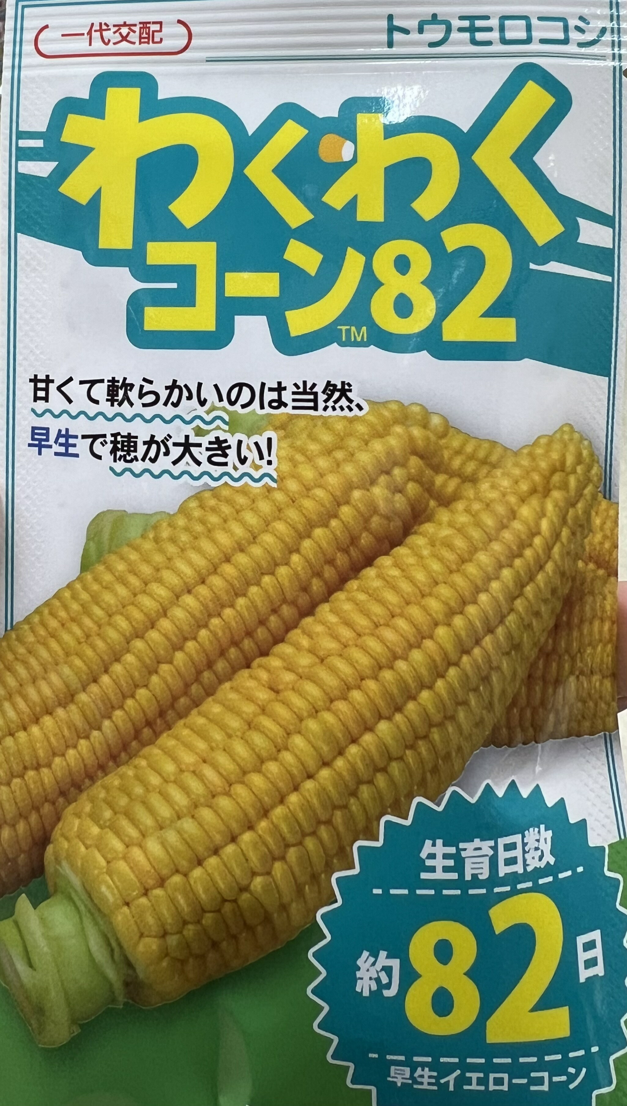 スイートコーン わくわくコーン82 種 2000粒 大袋 営利用 カネコ種苗 野菜 プロ向け 家庭菜園 農家 セレクト たね とうもろこし トウモロコシ タネ