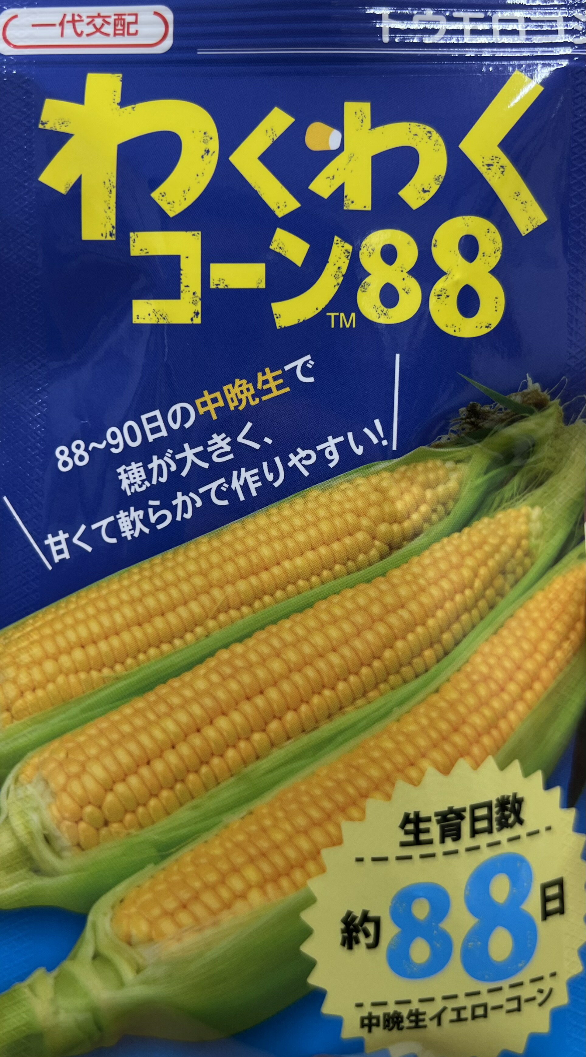 スイートコーン わくわくコーン88 種 2000粒 大袋 営利用 カネコ種苗 野菜 プロ向け 家庭菜園 農家 セレクト たね とうもろこし トウモロコシ タネ