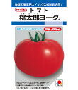 トマト 桃太郎ヨーク 18粒 DF大袋 営利用 タキイ 種 苗 野菜 タネ プロ向け 家庭菜園 農家 セレクト たね