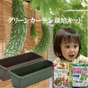 サカタのタネ｜SAKATA SEED CORPORATION 実咲 伏見甘長 トウガラシ 実咲 921770