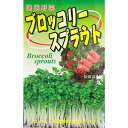 ブロッコリー スプラウト 種 30ml×5袋 種子無消毒 スルフォラファン 家庭菜園 水耕栽培