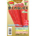 ニンジン 種 京くれないEX タキイ種苗 種 野菜 プロ向け 農家 セレクト にんじん 人参 ペレット 種 苗 野菜 タネ プロ向け 家庭菜園 たね 畑 種まき おいしい 畑仕事 送料無料 自然栽培野菜 種子 サラダ 野菜種子 キット 野菜種