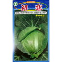 キャベツ 種 初恋 コート 5000粒 プロ向け 家庭菜園 トーホク交配 種子 畑 品種 たね 送料無料 キャベツ種 トーホク キャベツの種 自然栽培野菜 鉄分...