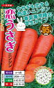 ニンジン 種 恋うさぎ ナント種苗 種 野菜 プロ向け 農家 セレクト にんじん 人参 ペレット 種 苗 野菜 タネ プロ向け 家庭菜園 たね 畑 種まき おいしい 畑仕事 送料無料 自然栽培野菜 種子 サラダ 野菜種子 キット 野菜種