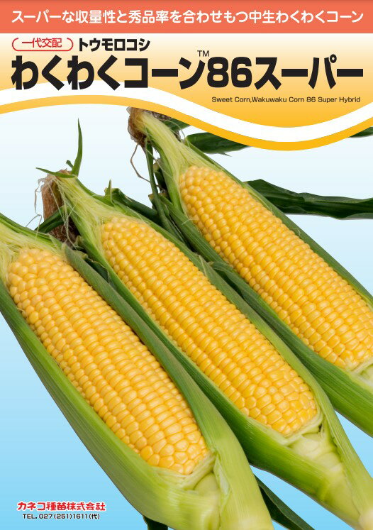 スイートコーン 種 わくわくコーン86スーパー 小袋 営利用 カネコ種苗 営利用 タネ たね 黄色 トウモロコシ の 種類 家庭菜園 プロ向け 大袋 小袋 農家 セレクト 畑 種まき 送料無料 とうもろこし 甘い スープ 野菜 種子 野菜種子 プランター 野菜種 自然栽培野菜 畑仕事