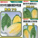 【3点セット】 白菜 種 トーホク 黄楽60 黄楽70 結福 早生 中生 晩生 家庭菜園 ペレット 初心者 園芸