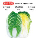 【3点セット】 白菜 種 渡辺採取場 松島交配 祭典シリーズ 早生 中生 晩生 家庭菜園 ペレット 初心者 園芸