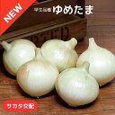 玉ねぎ 種 タマネギ ゆめたま サカタのタネ 種苗 家庭菜園 プロ向け 大袋 小袋 農家 セレクト たね タネ